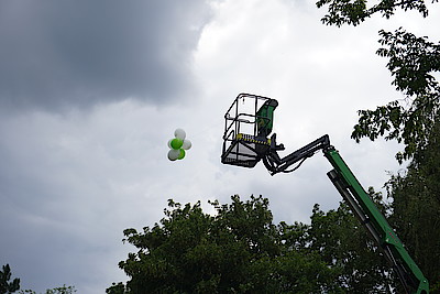  (öffnet größeres Bild)